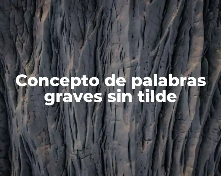 Concepto de palabras graves sin tilde