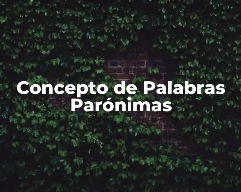 Concepto de Palabras Parónimas