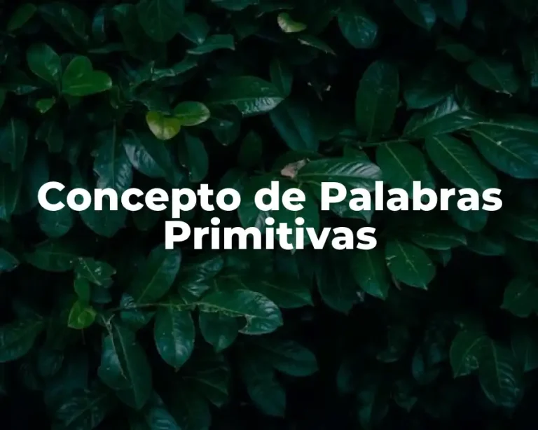 Concepto de Palabras Primitivas