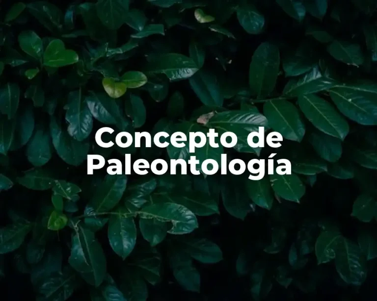 Concepto de Paleontología