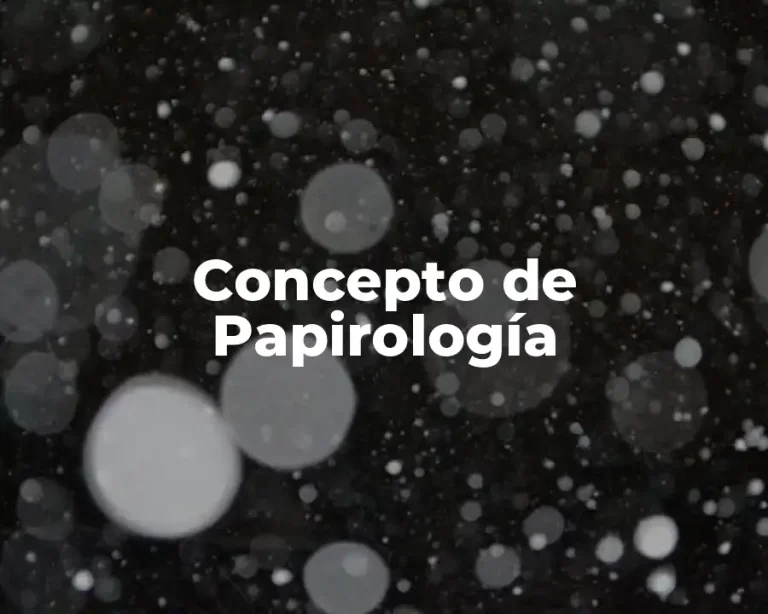 Concepto de Papirología
