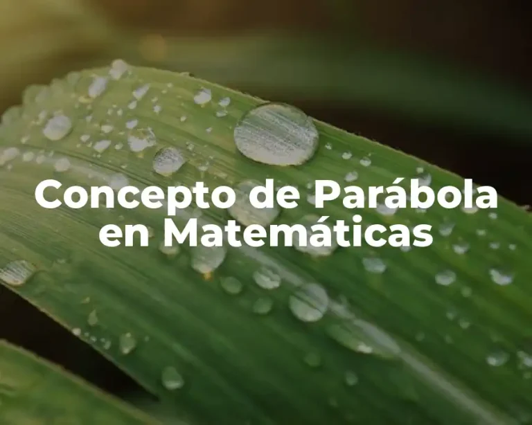 Concepto de Parábola en Matemáticas