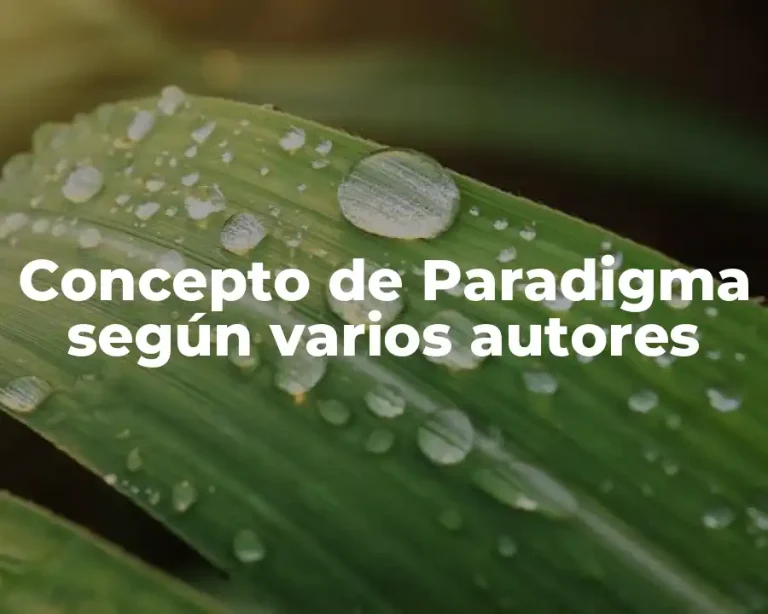 Concepto de Paradigma según varios autores
