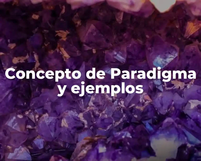 Concepto de Paradigma y ejemplos