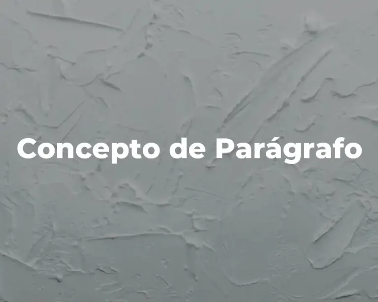 Concepto de Parágrafo