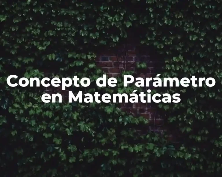 Concepto de Parámetro en Matemáticas