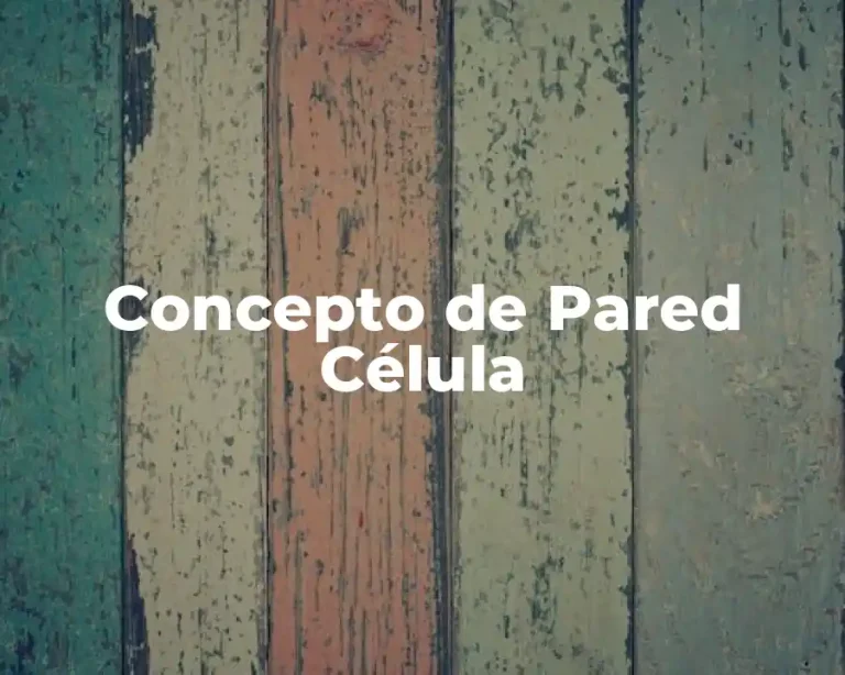 Concepto de Pared Célula