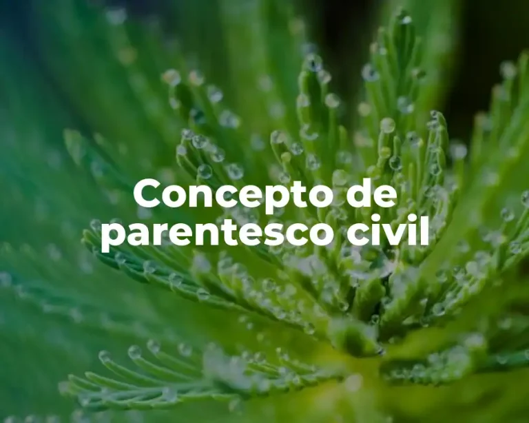Concepto de parentesco civil