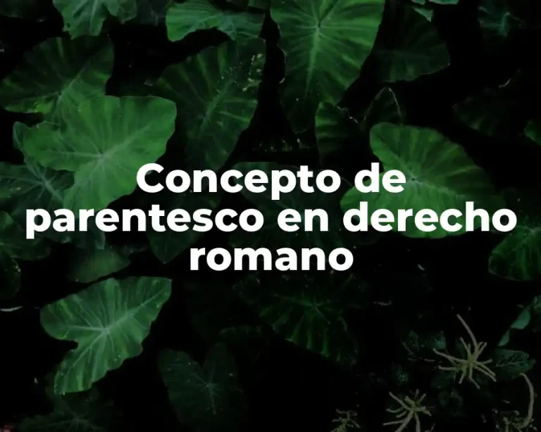 Concepto de parentesco en derecho romano