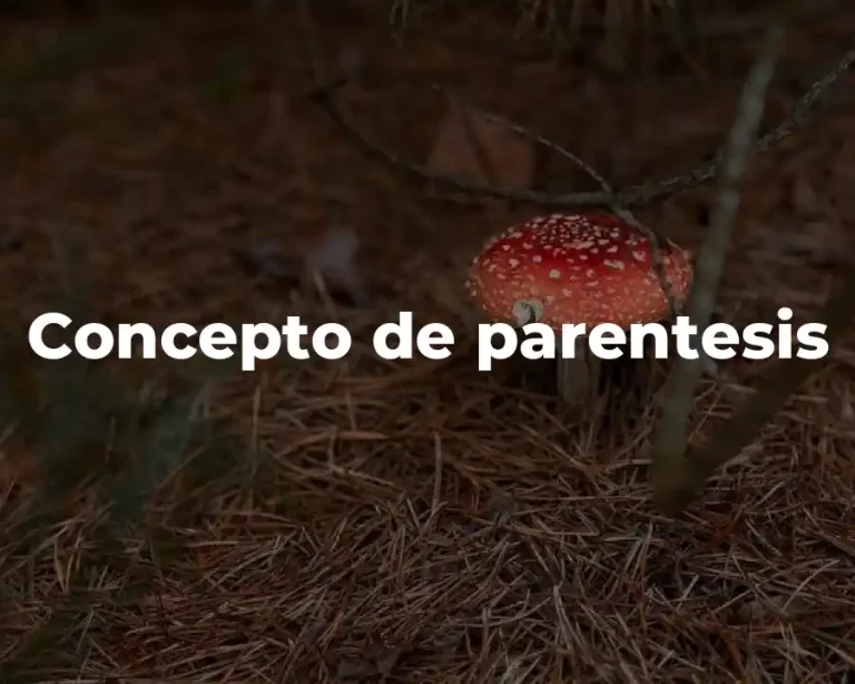 Concepto de parentesis