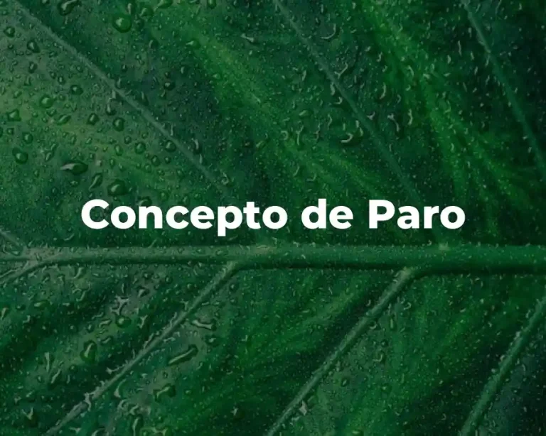 Concepto de Paro