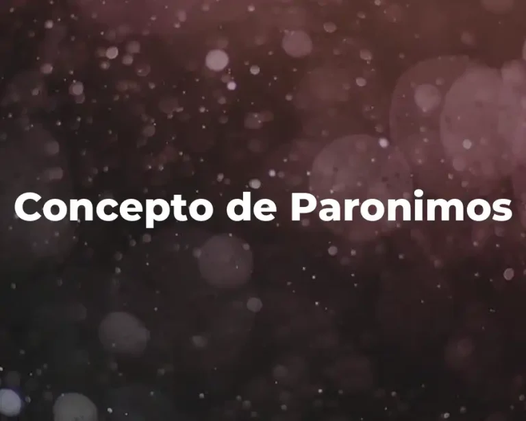 Concepto de Paronimos