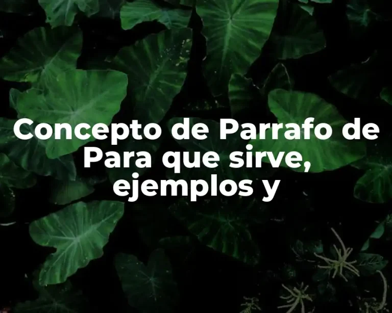Concepto de Parrafo de Para que sirve, ejemplos y