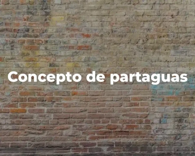 Concepto de partaguas