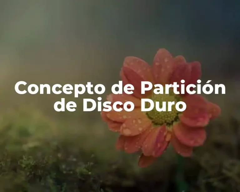 Concepto de Partición de Disco Duro
