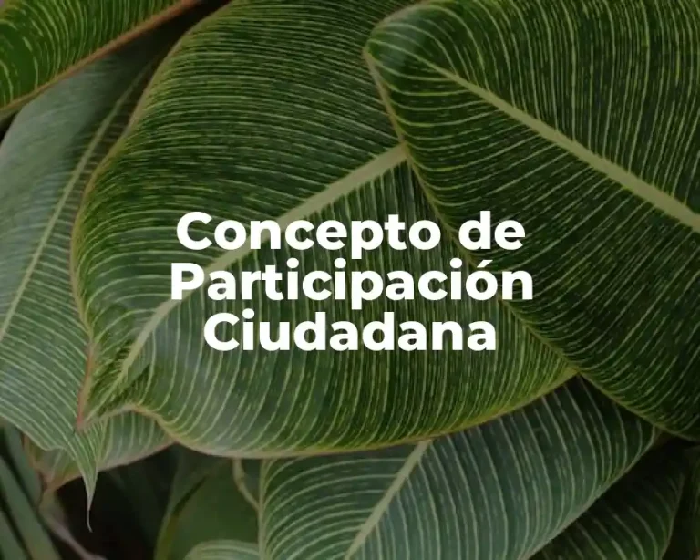 Concepto de Participación Ciudadana