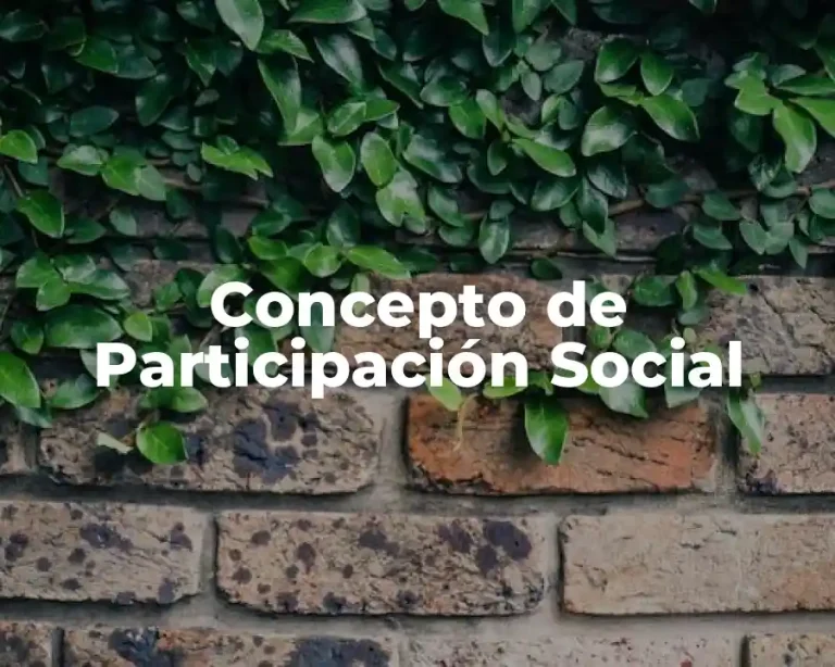 Concepto de Participación Social