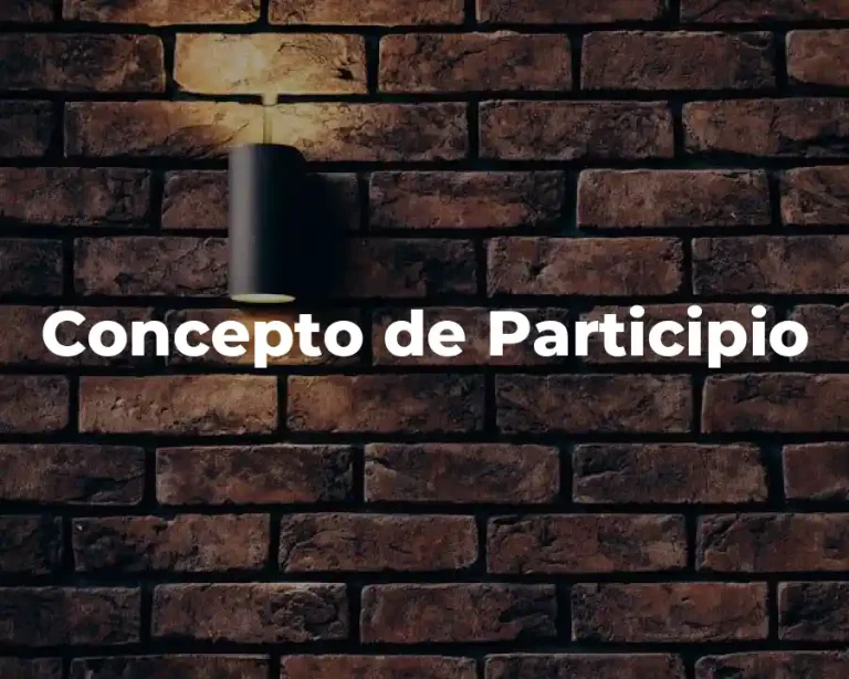 Concepto de Participio