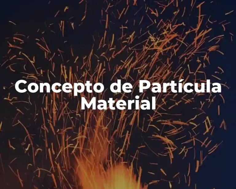 Concepto de Partícula Material