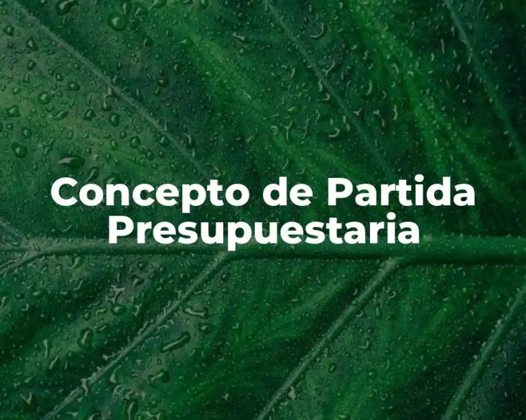 Concepto de Partida Presupuestaria