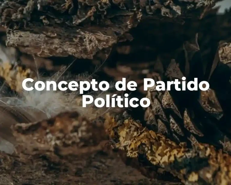 Concepto de Partido Político