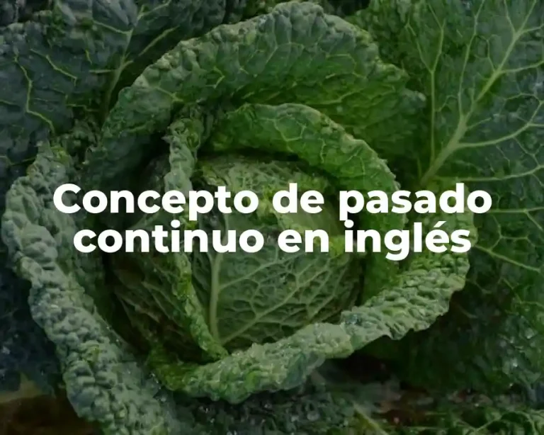 Concepto de pasado continuo en inglés