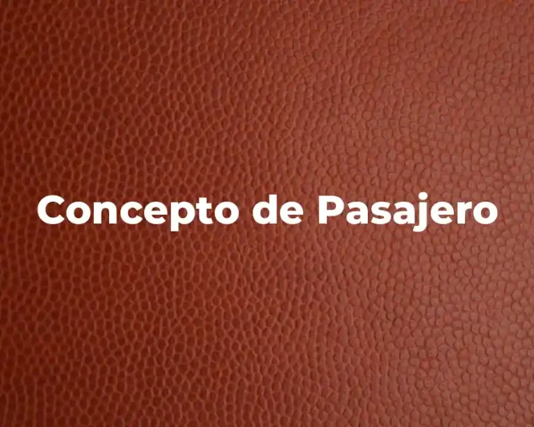 Concepto de Pasajero
