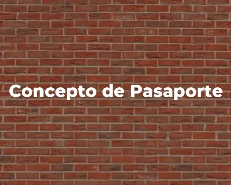 Concepto de Pasaporte
