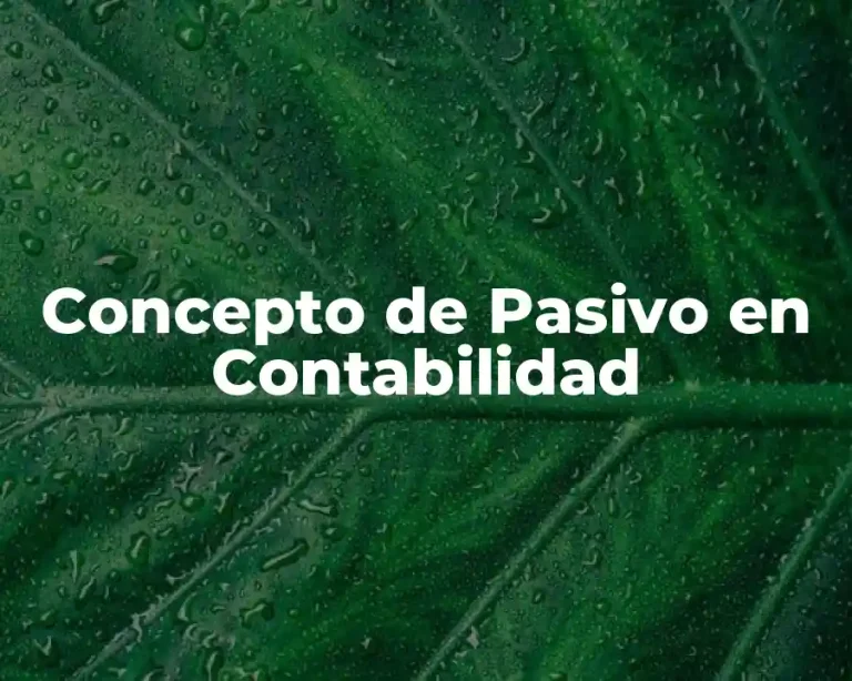 Concepto de Pasivo en Contabilidad