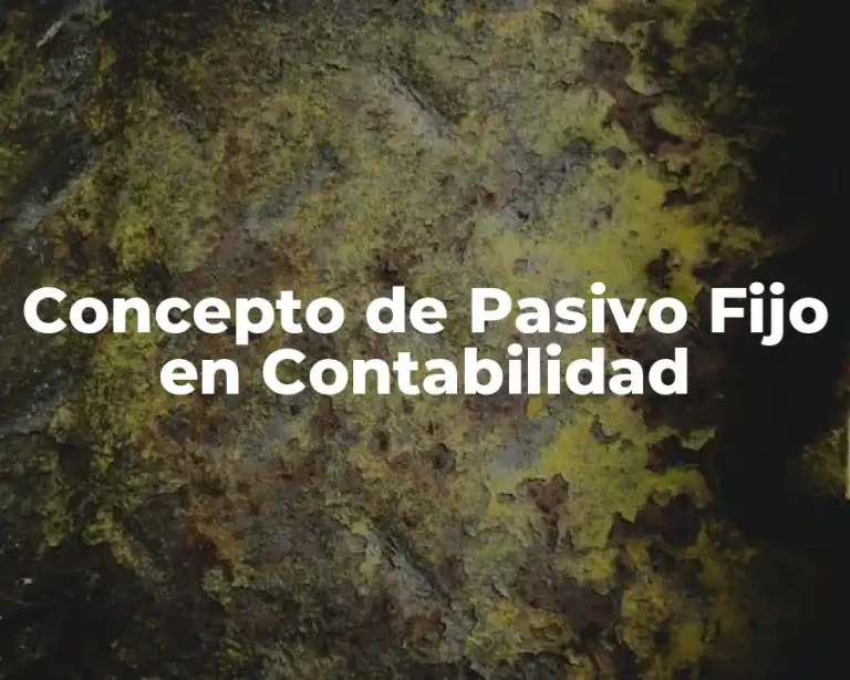 Concepto de Pasivo Fijo en Contabilidad