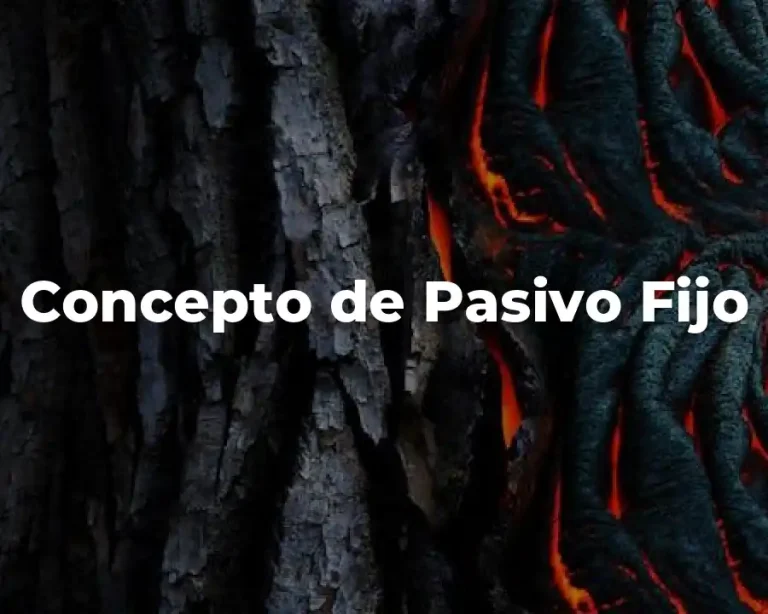 Concepto de Pasivo Fijo