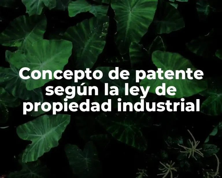 Concepto de patente según la ley de propiedad industrial