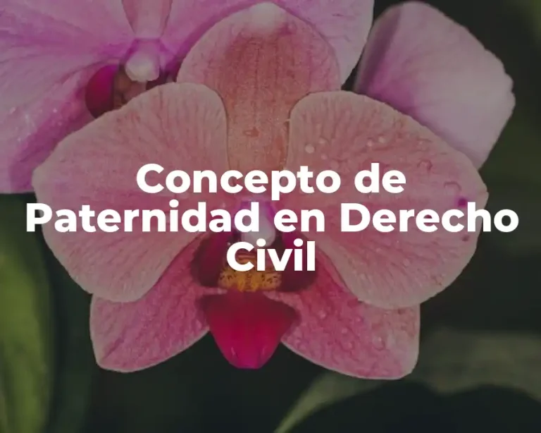 Concepto de Paternidad en Derecho Civil