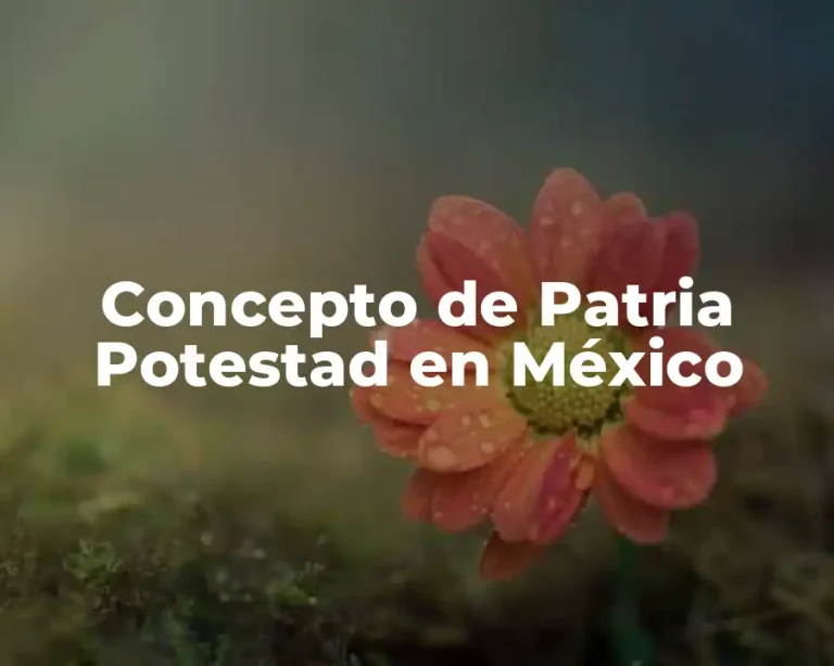 Concepto de Patria Potestad en México