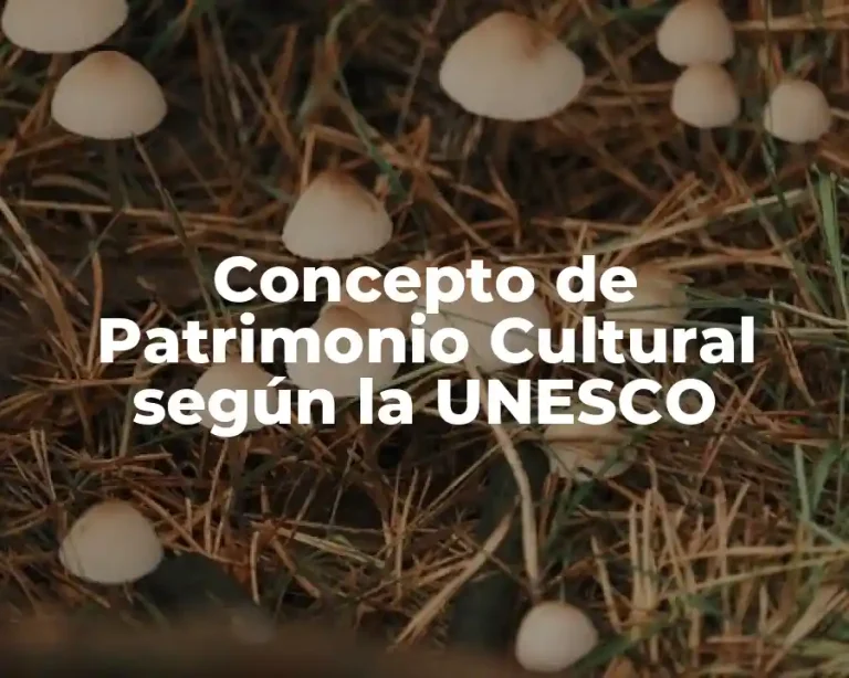 Concepto de Patrimonio Cultural según la UNESCO