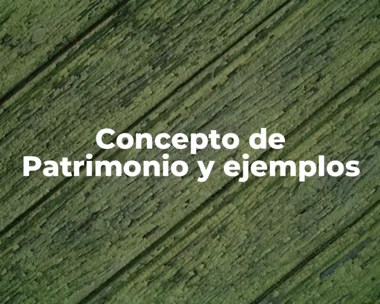 Concepto de Patrimonio y ejemplos