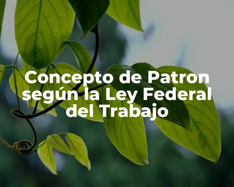 Concepto de Patron según la Ley Federal del Trabajo
