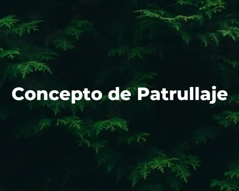 Concepto de Patrullaje