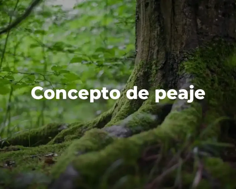 Concepto de peaje
