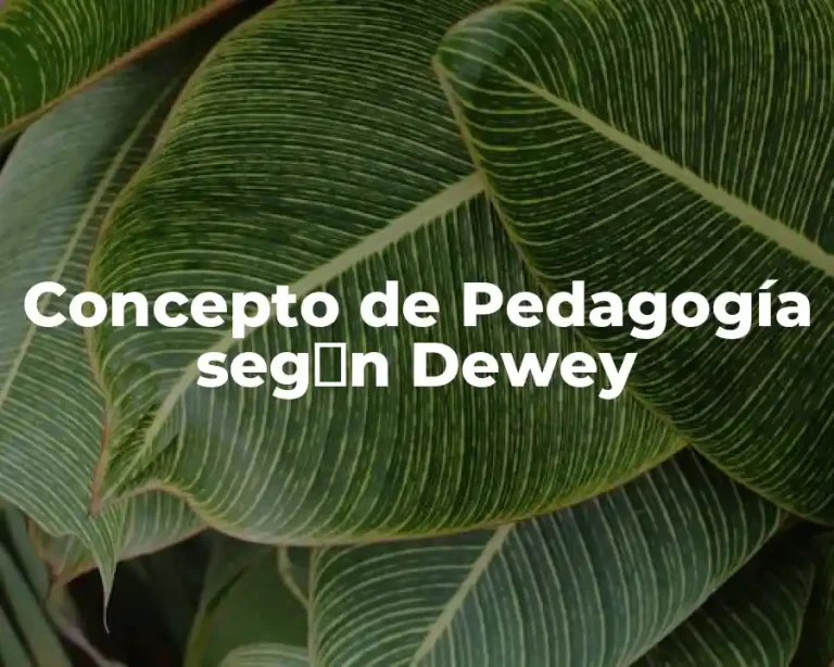 Concepto de Pedagogía seg�n Dewey