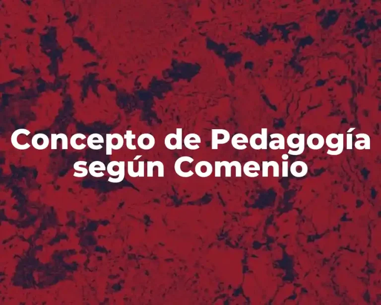 Concepto de Pedagogía según Comenio