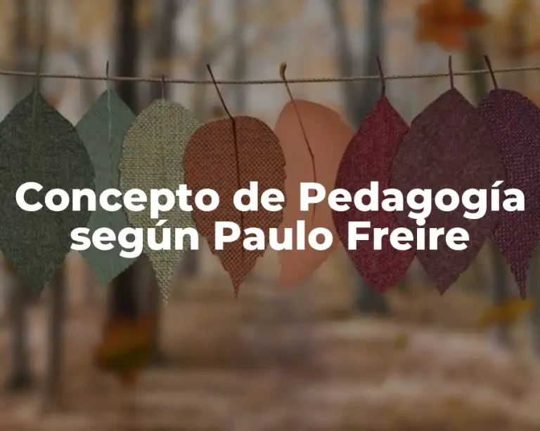 Concepto de Pedagogía según Paulo Freire