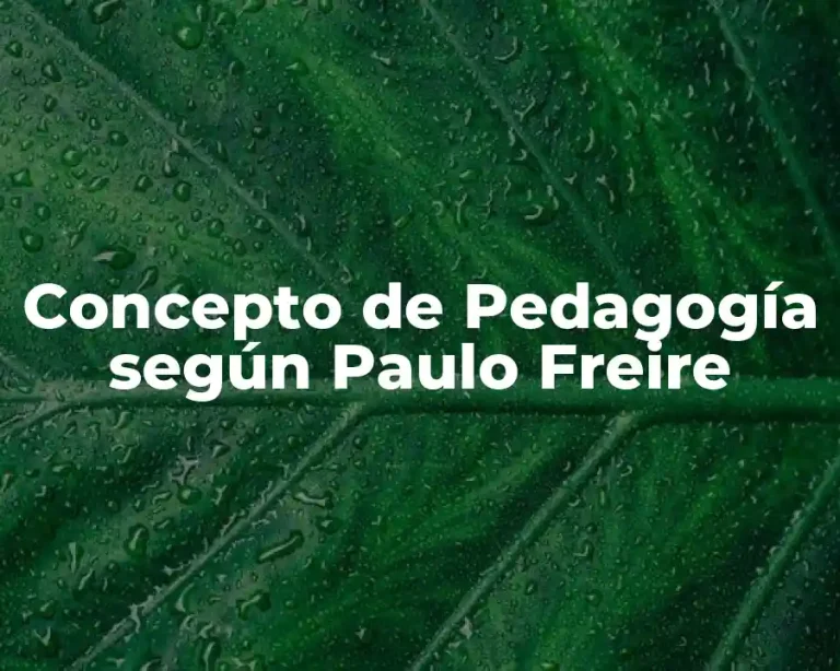 Concepto de Pedagogía según Paulo Freire