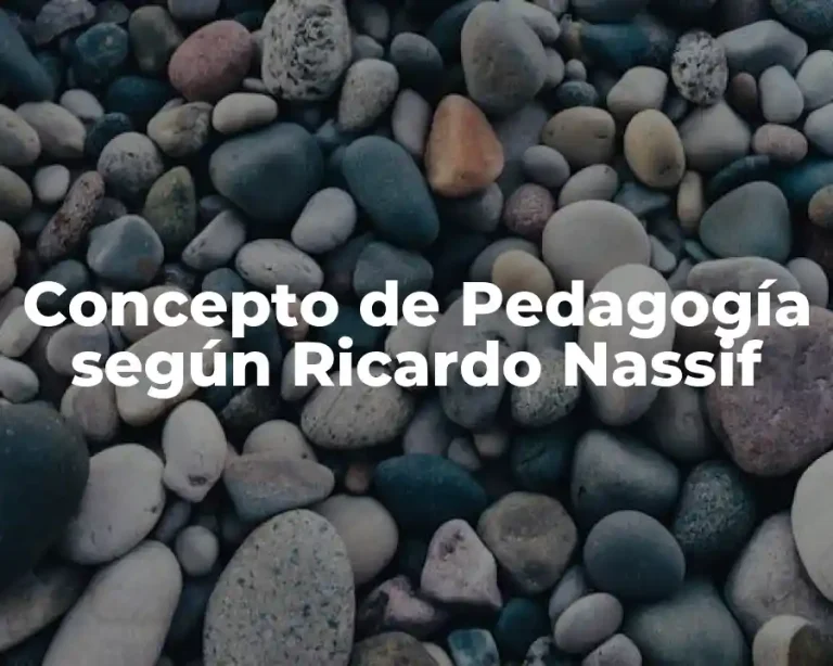 Concepto de Pedagogía según Ricardo Nassif