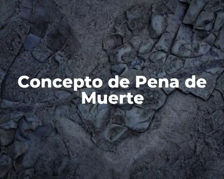 Concepto de Pena de Muerte