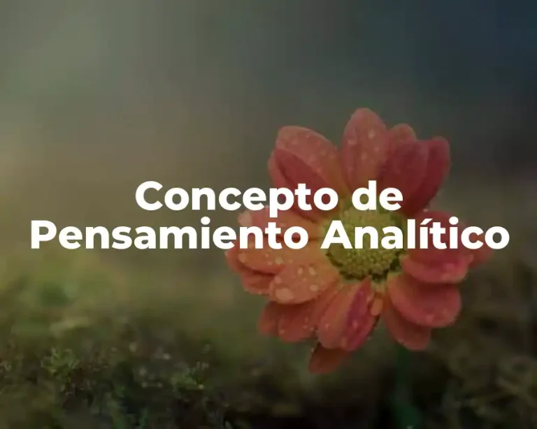 Concepto de Pensamiento Analítico