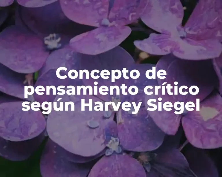 Concepto de pensamiento crítico según Harvey Siegel