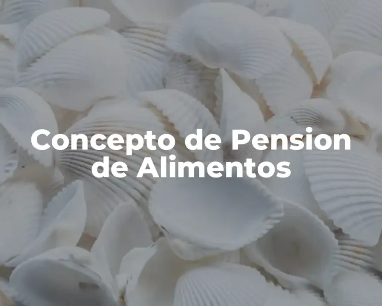 Concepto de Pension de Alimentos