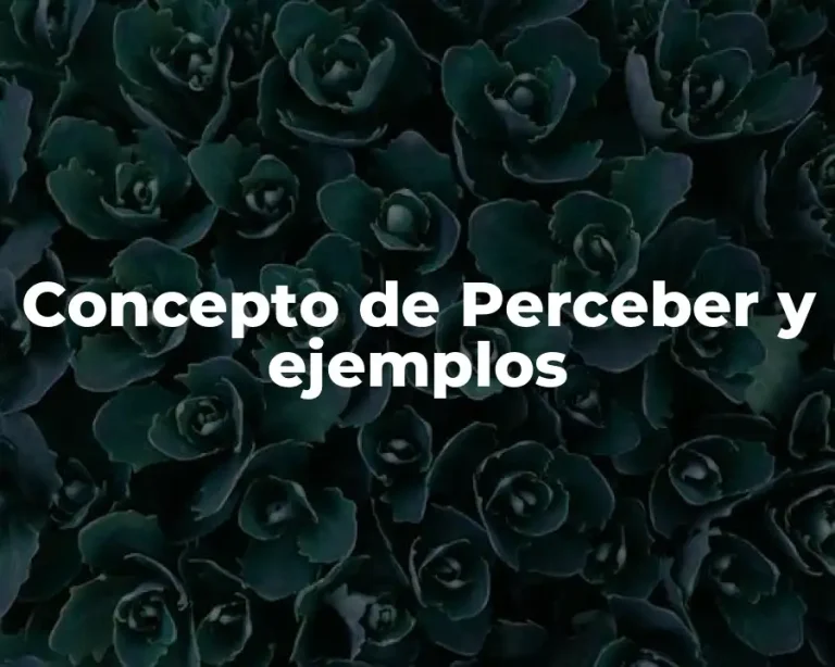 Concepto de Perceber y ejemplos