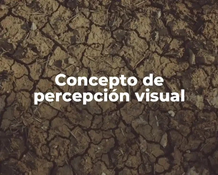 Concepto de percepción visual